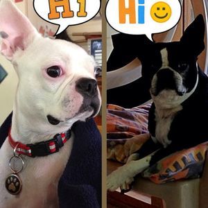 Meet your Posher, Tracy